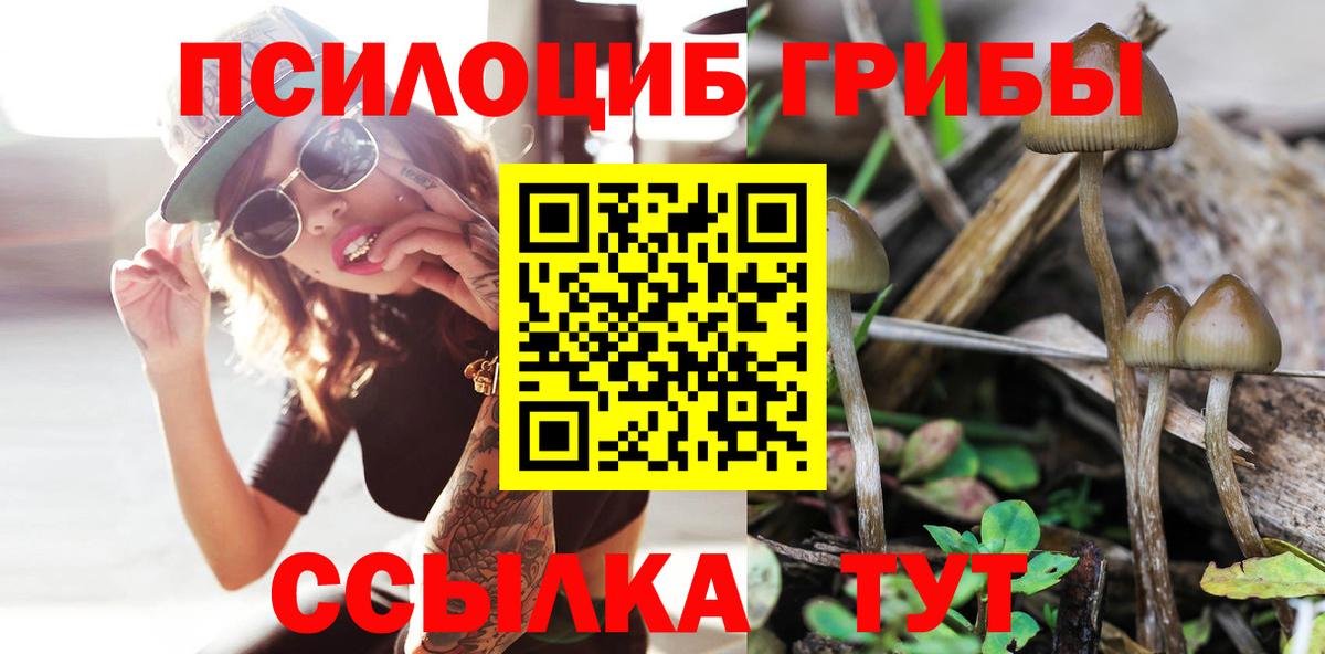 Галлюциногенные грибы прущие грибы  Вход с VPN  дарнет шоп  Кудрово  Галлюциногенные грибы Psilocybine cubensis 