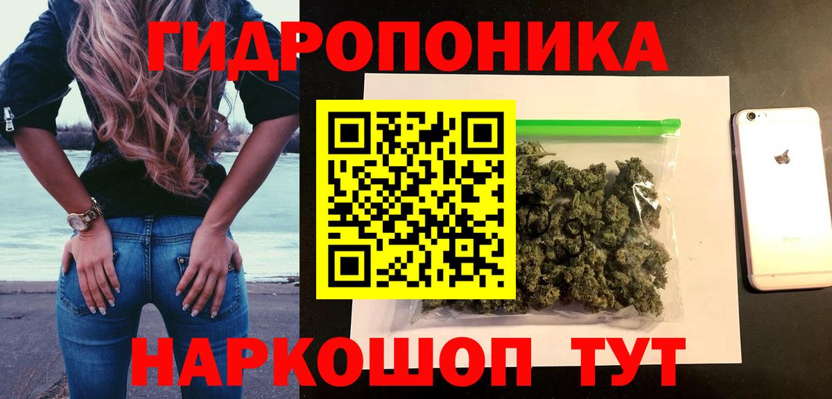 Конопля Кудрово